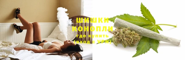 стафф Осташков