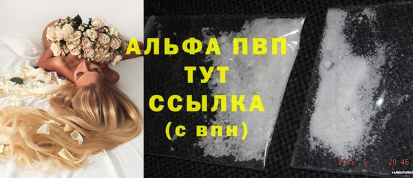 стафф Осташков